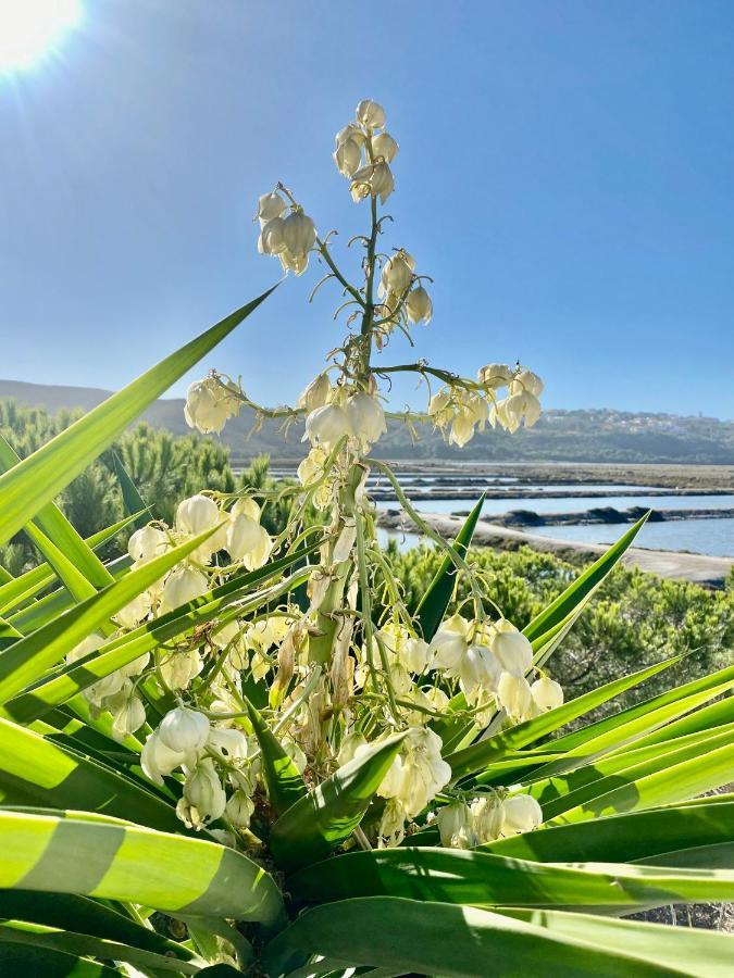 Holiday home Herdade D' Amoreira